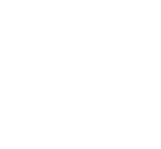 Meat